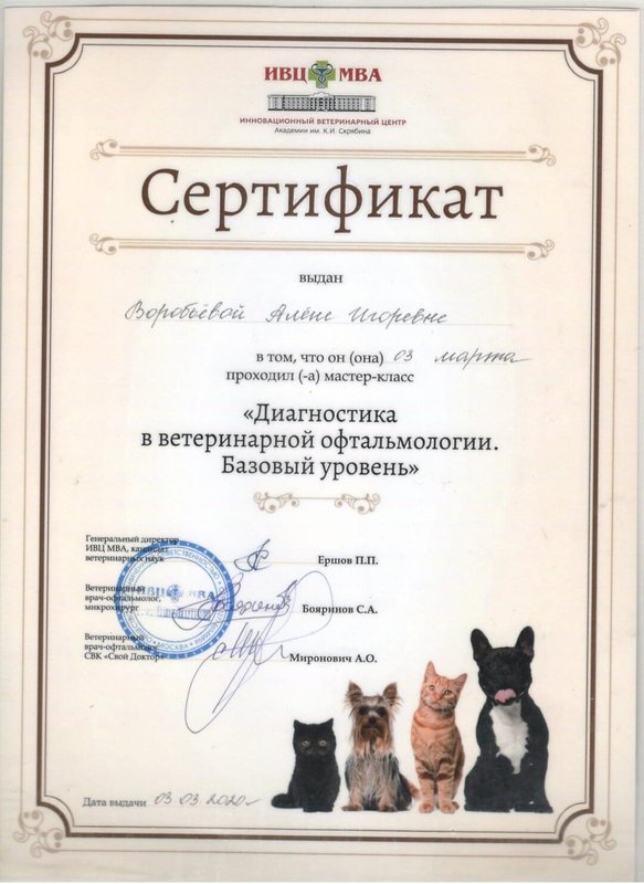 Документ или сертификат