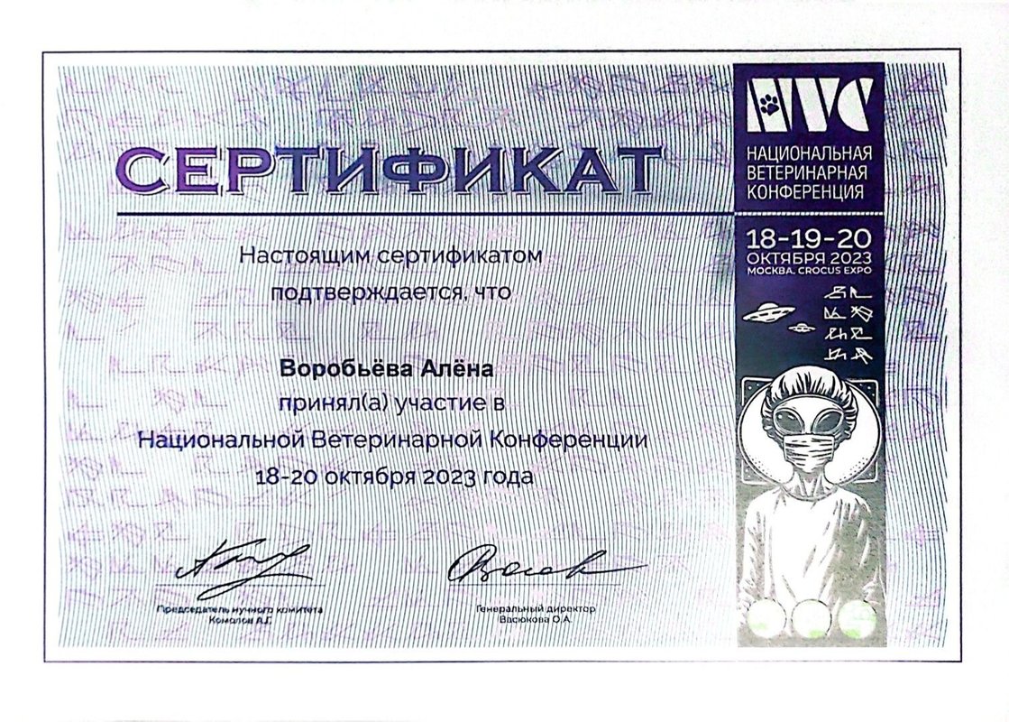 Документ или сертификат