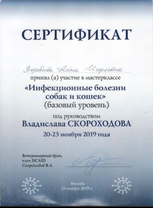 Документ или сертификат