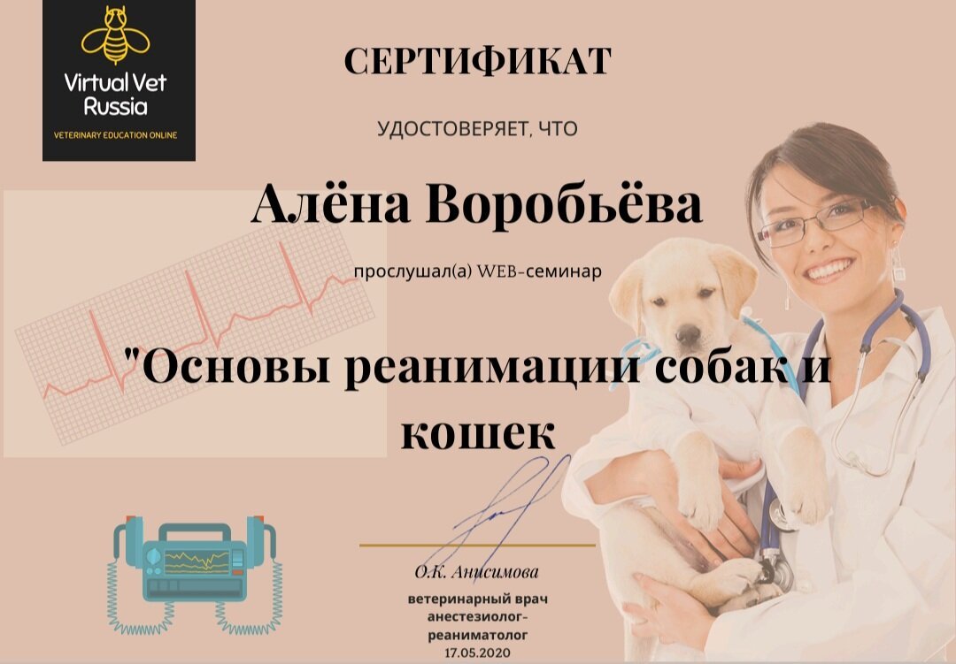 Документ или сертификат