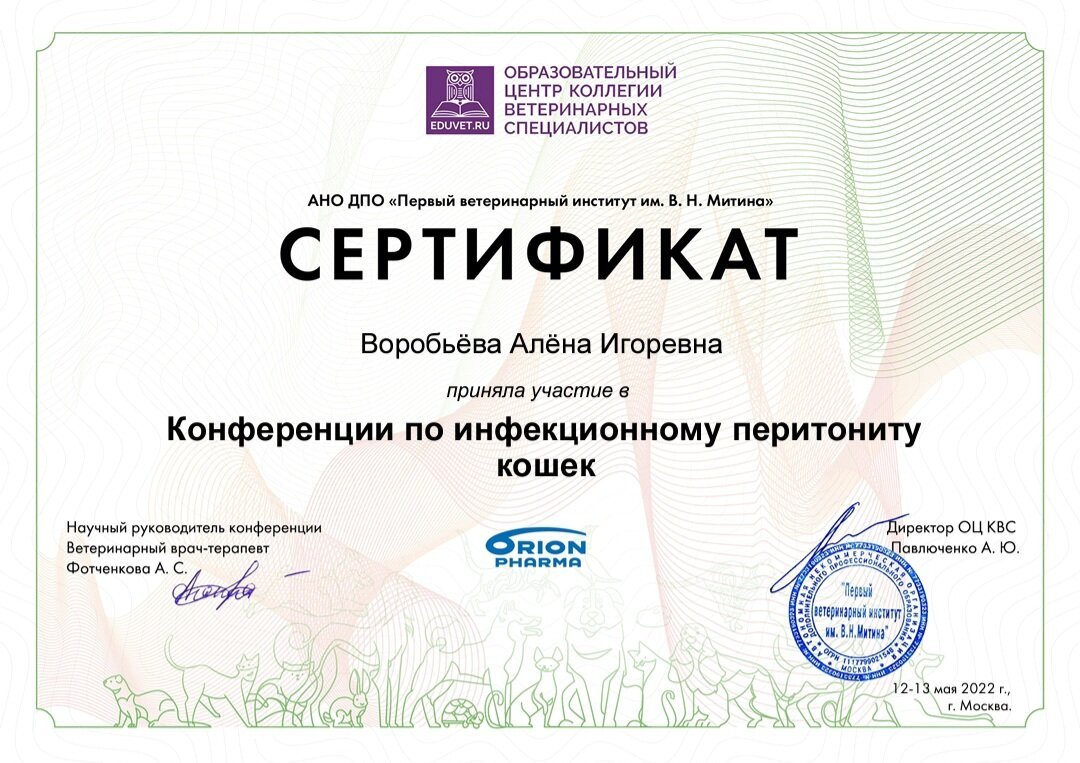 Документ или сертификат