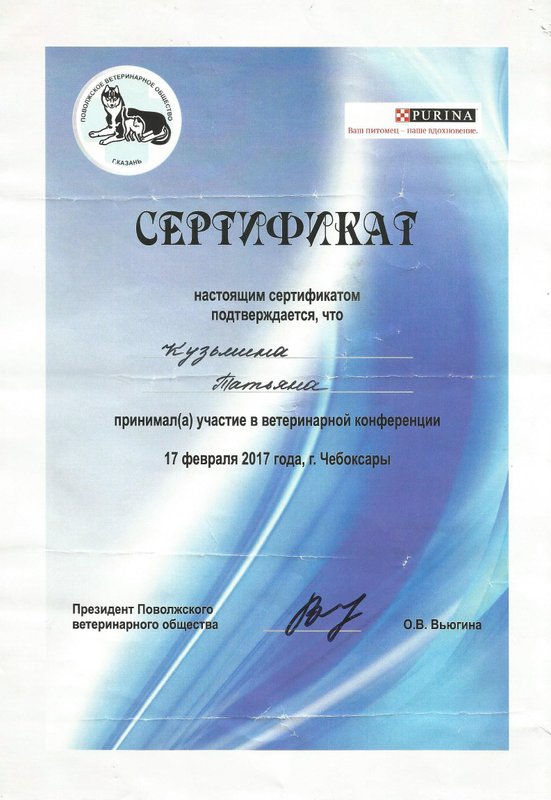 Документ или сертификат