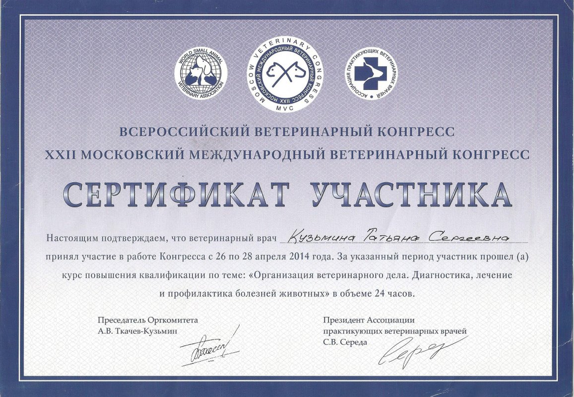 Документ или сертификат