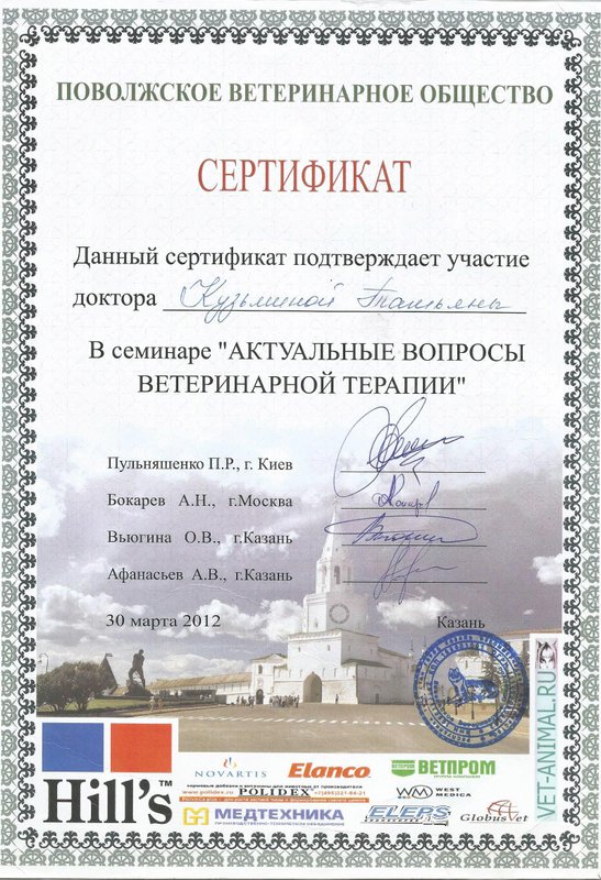 Документ или сертификат