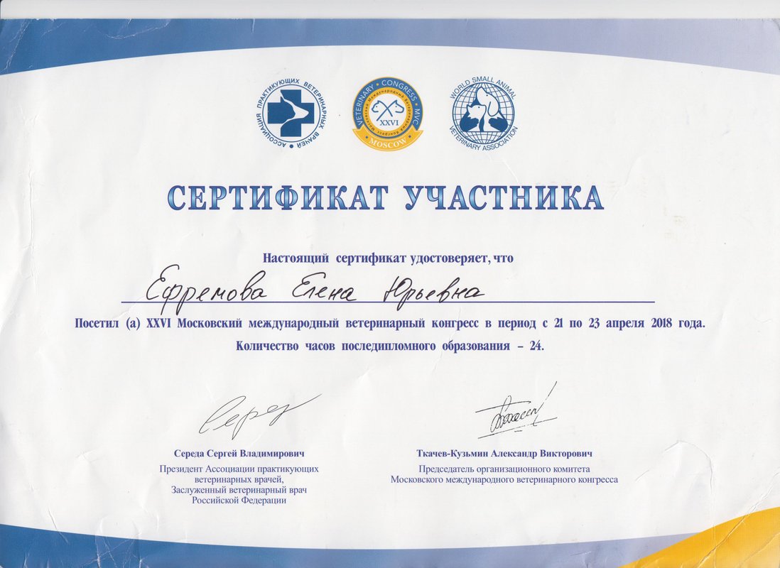Документ или сертификат