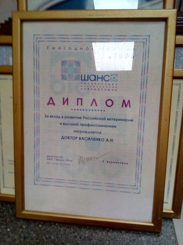 Документ или сертификат