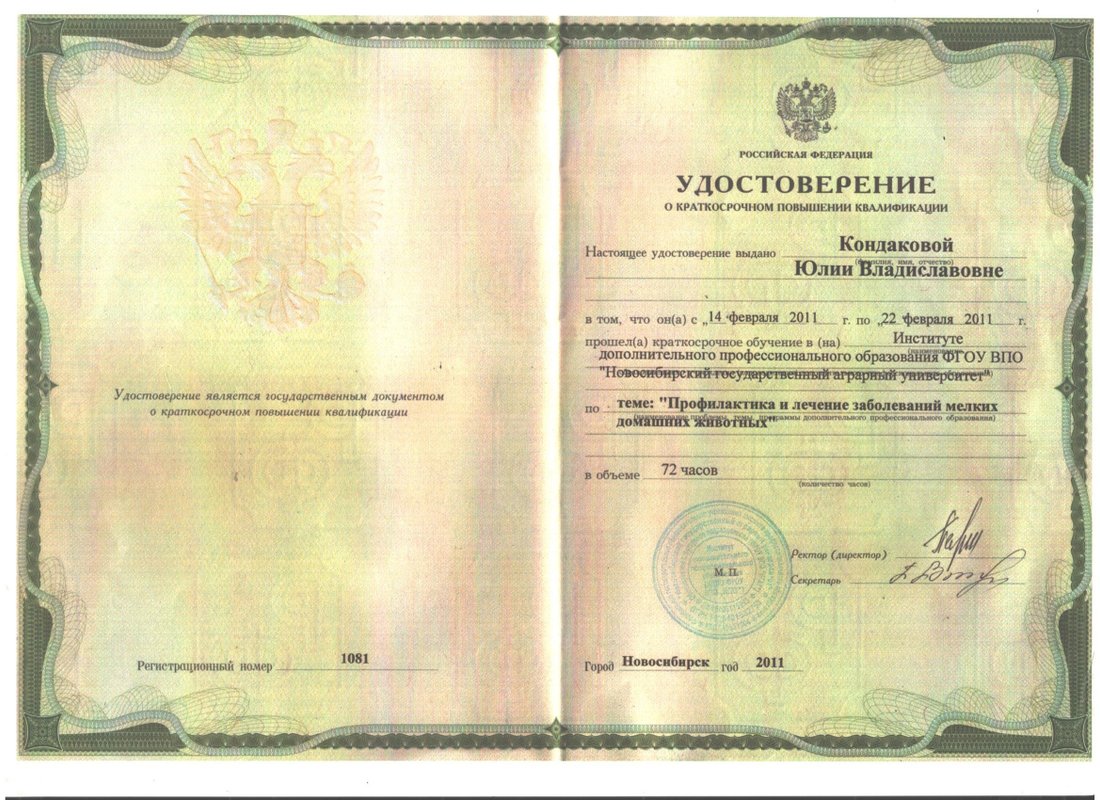 Документ или сертификат