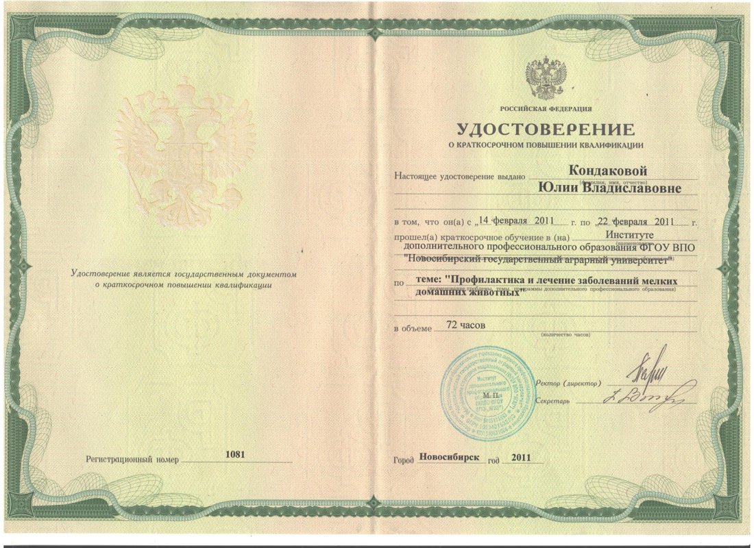 Документ или сертификат