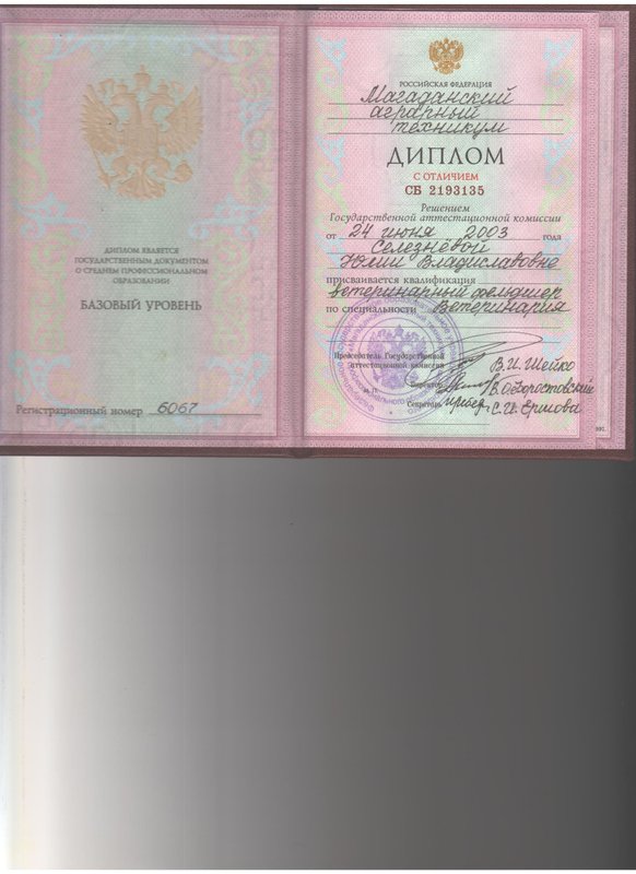 Документ или сертификат