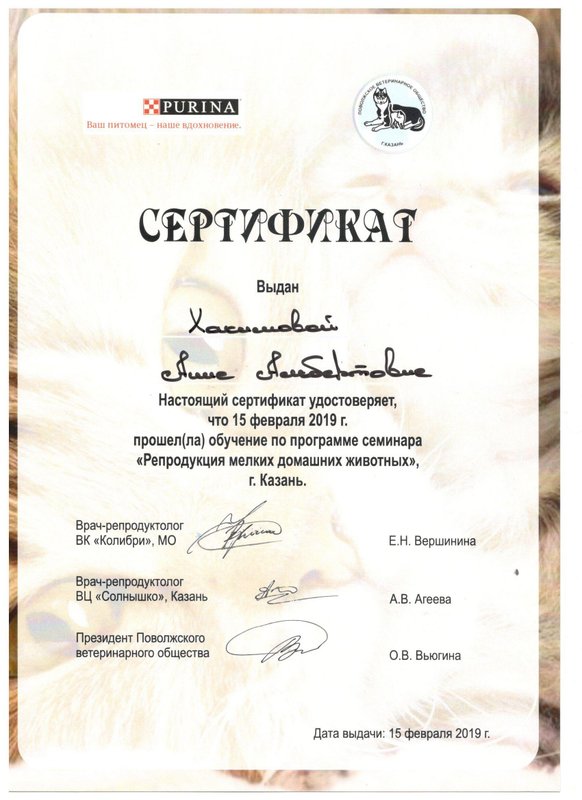 Документ или сертификат