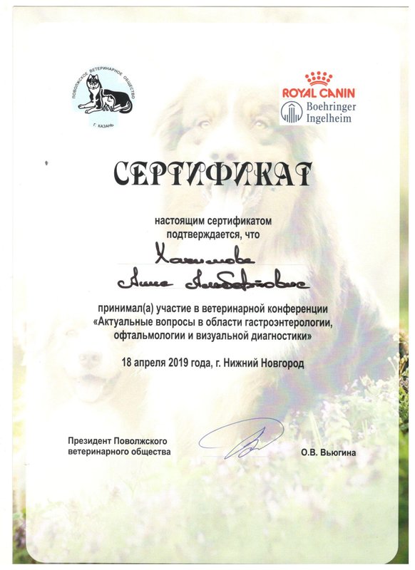 Документ или сертификат