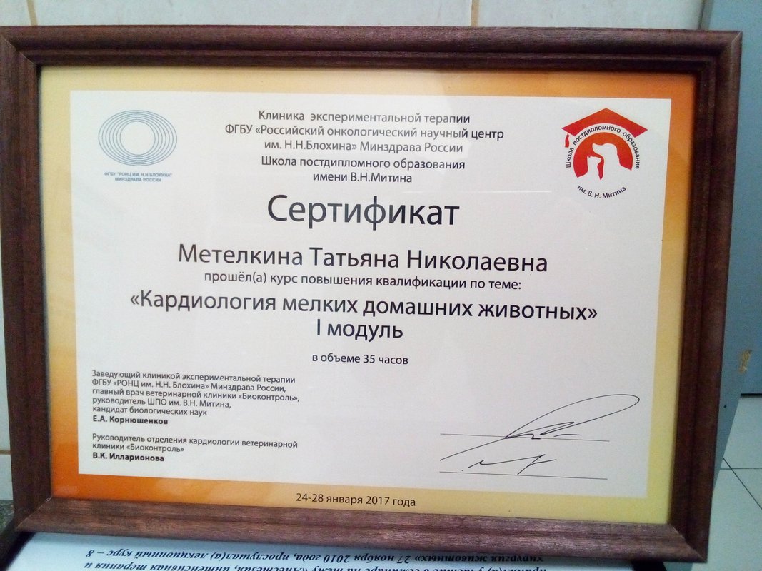 Документ или сертификат
