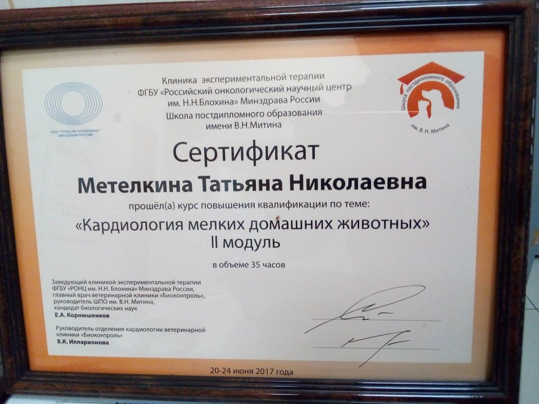Документ или сертификат