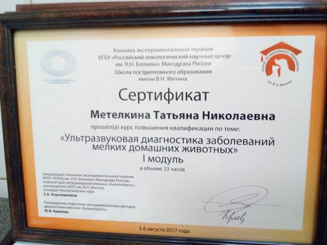 Документ или сертификат