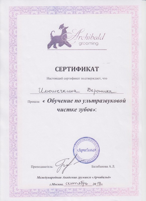 Документ или сертификат
