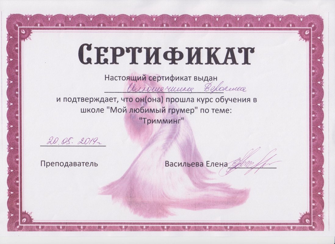 Документ или сертификат