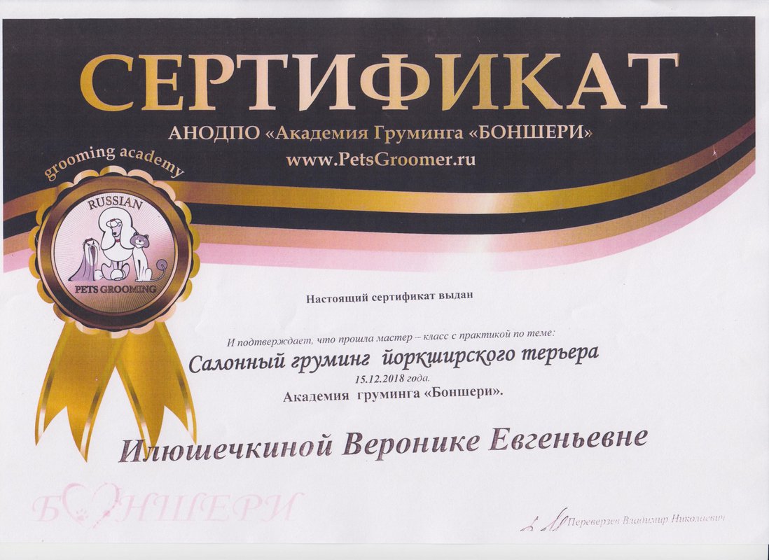 Документ или сертификат