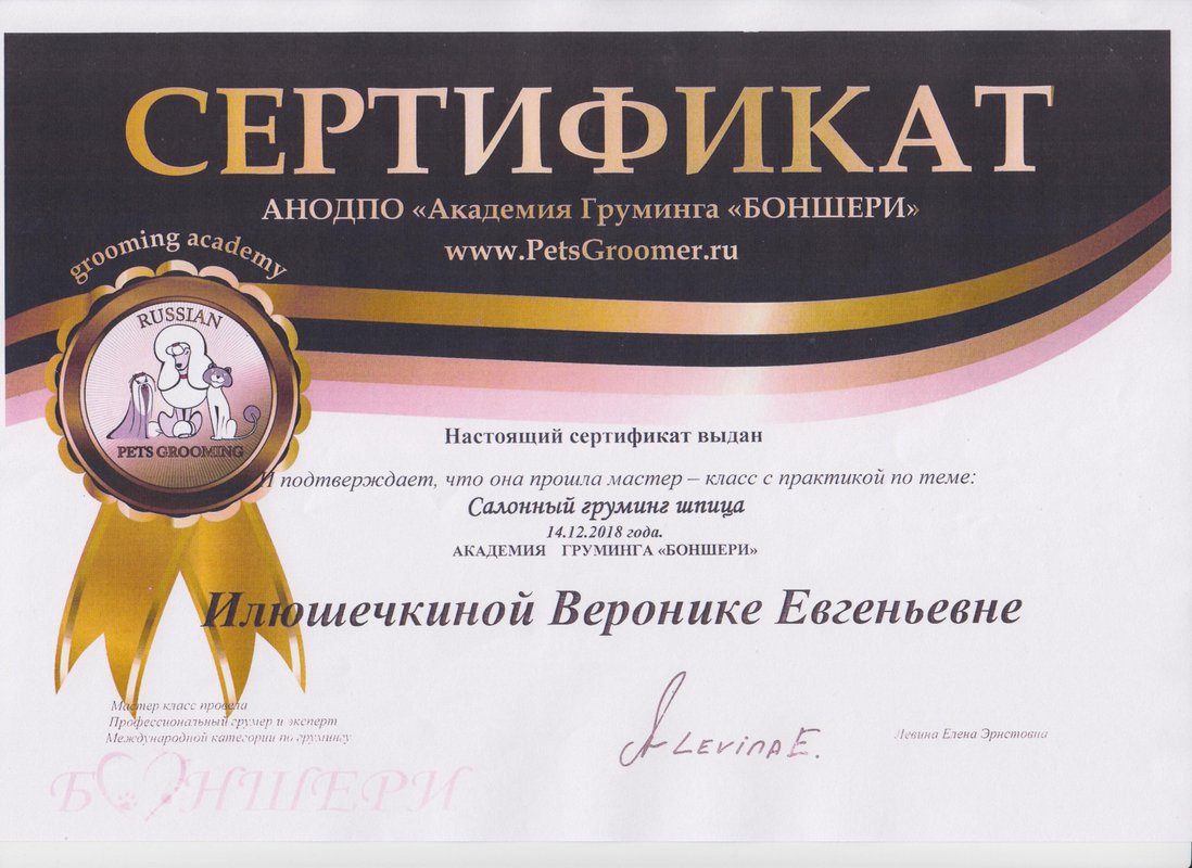 Документ или сертификат