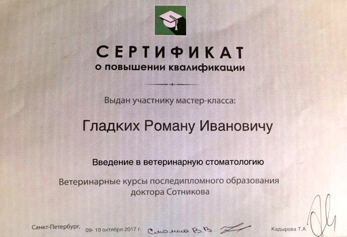 Документ или сертификат