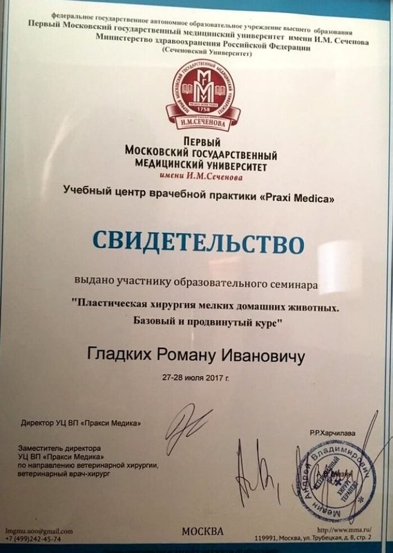 Документ или сертификат