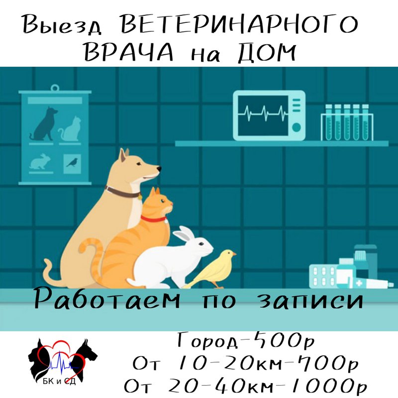 Фото врача