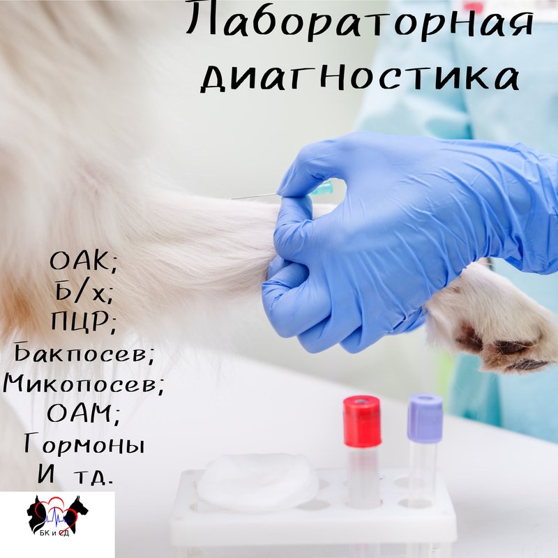 Фото врача