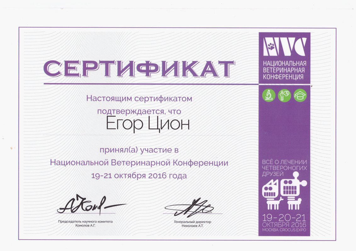 Документ или сертификат