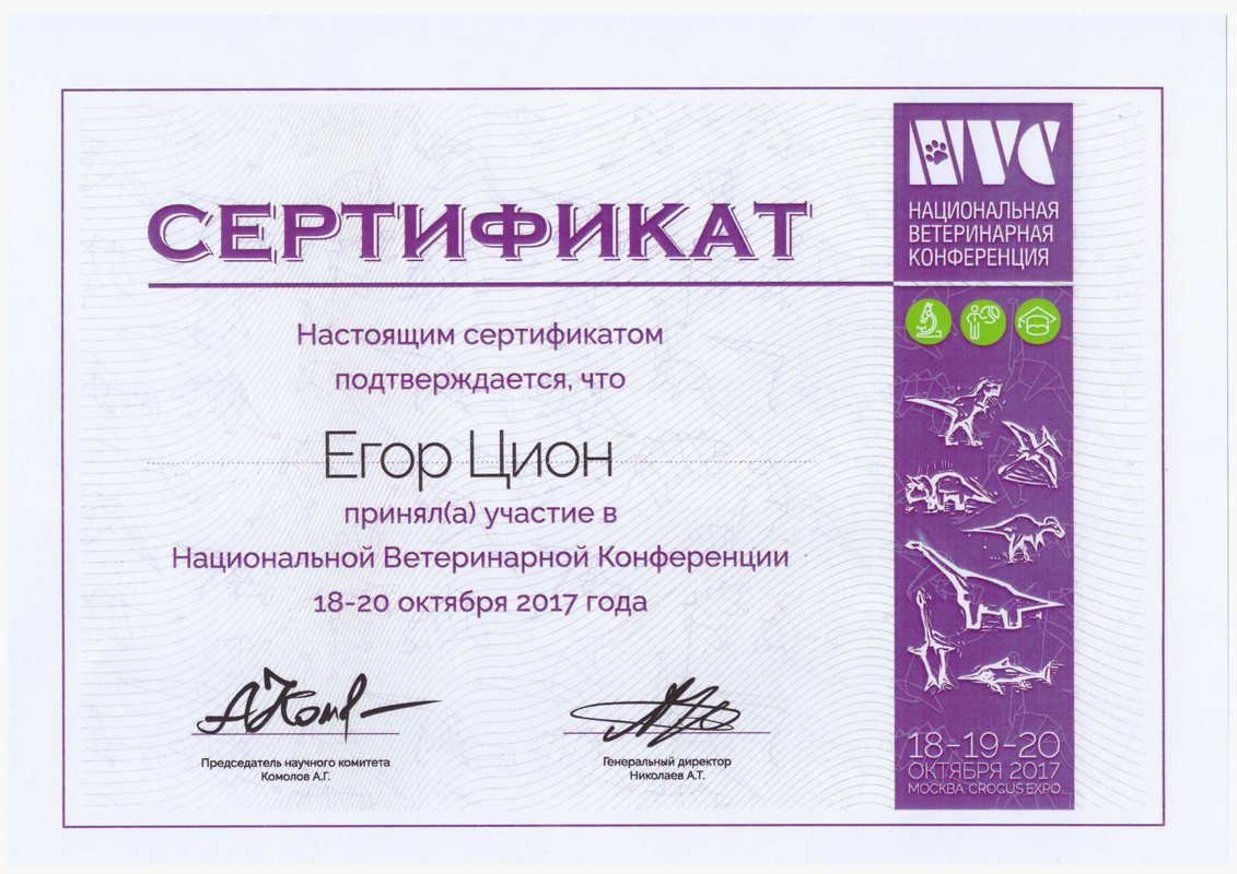 Документ или сертификат