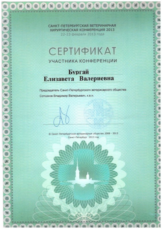 Документ или сертификат