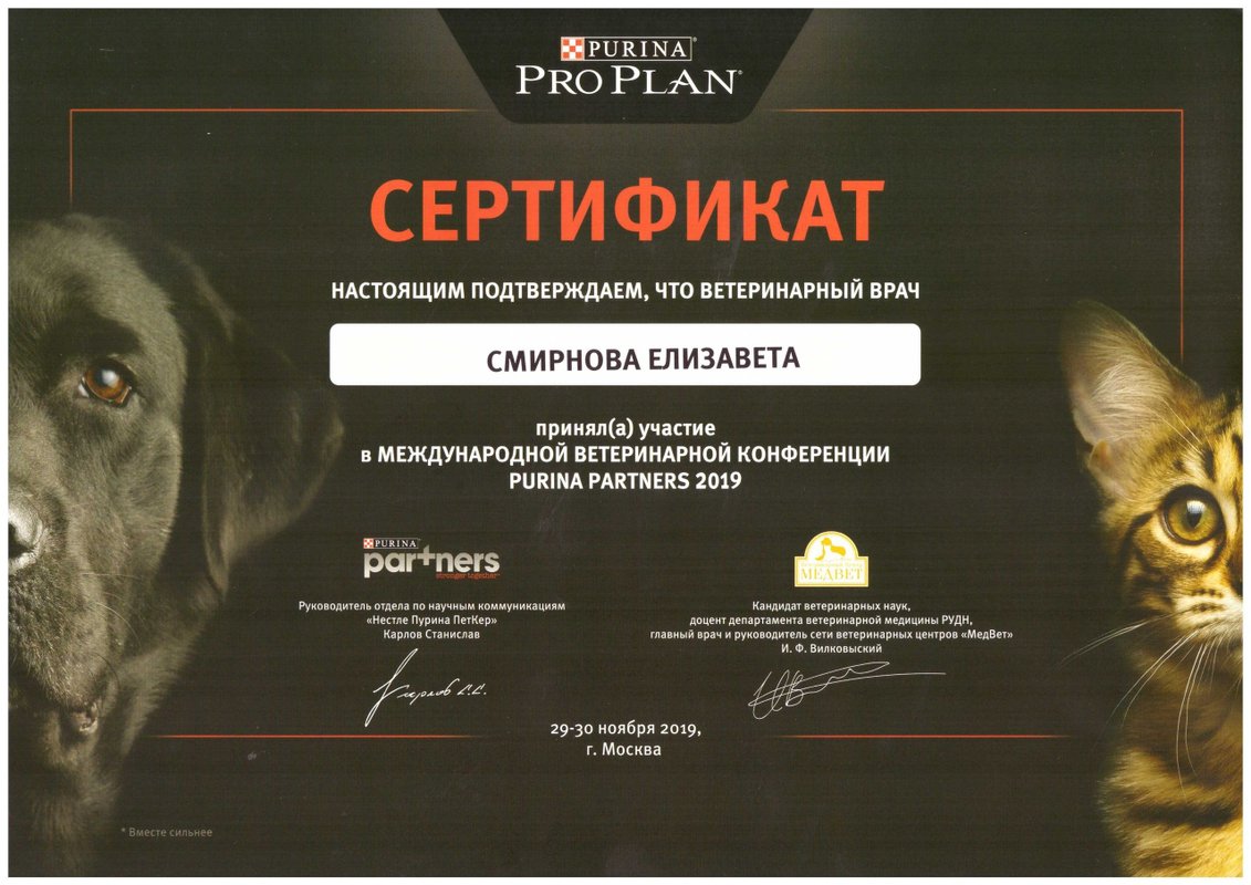 Документ или сертификат