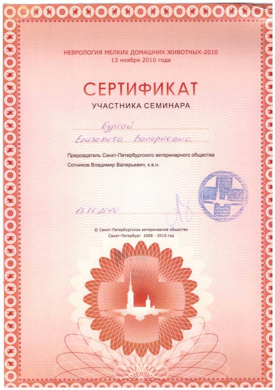 Документ или сертификат