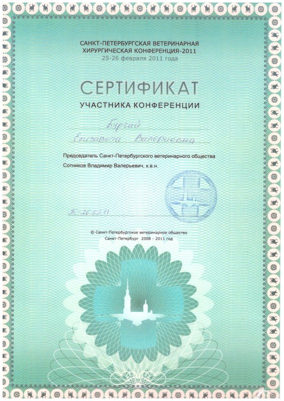Документ или сертификат