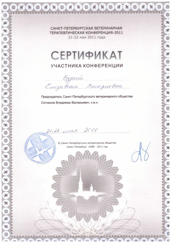 Документ или сертификат