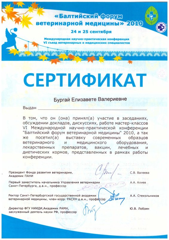 Документ или сертификат