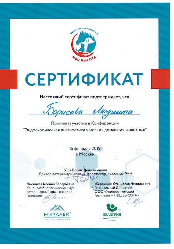 Документ или сертификат