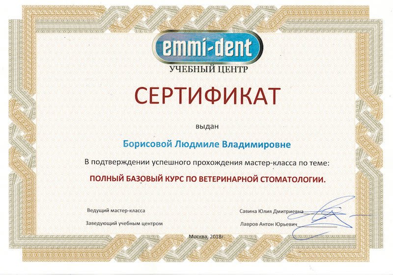 Документ или сертификат