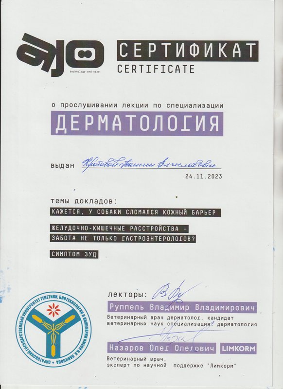 Документ или сертификат