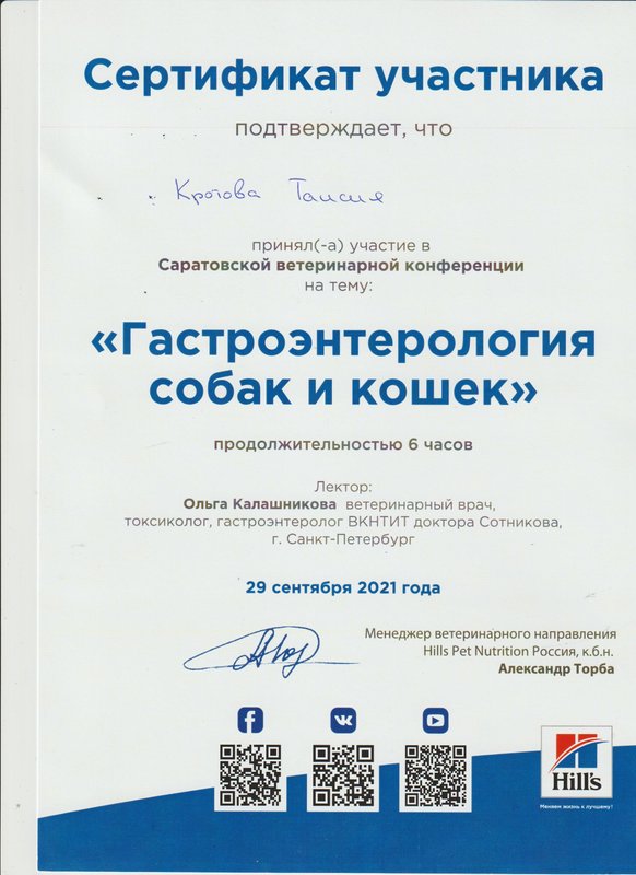 Документ или сертификат
