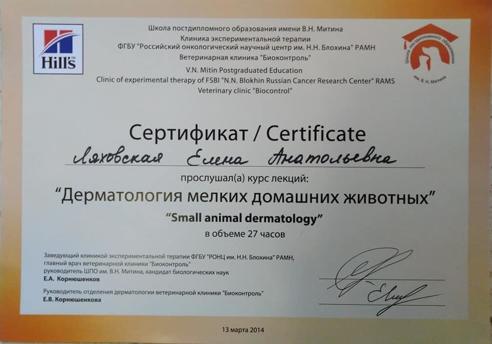 Документ или сертификат