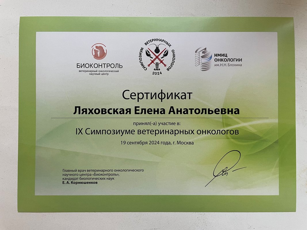 Документ или сертификат