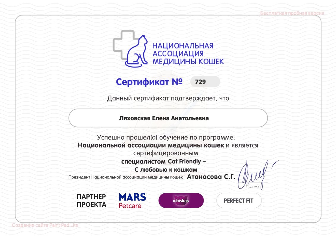Документ или сертификат