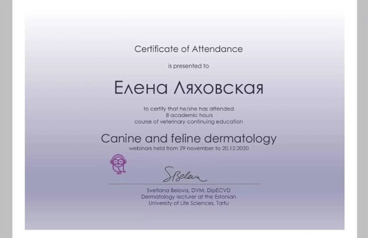 Документ или сертификат