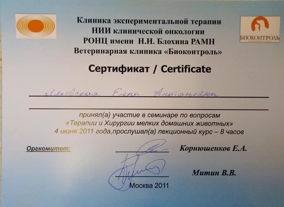 Документ или сертификат