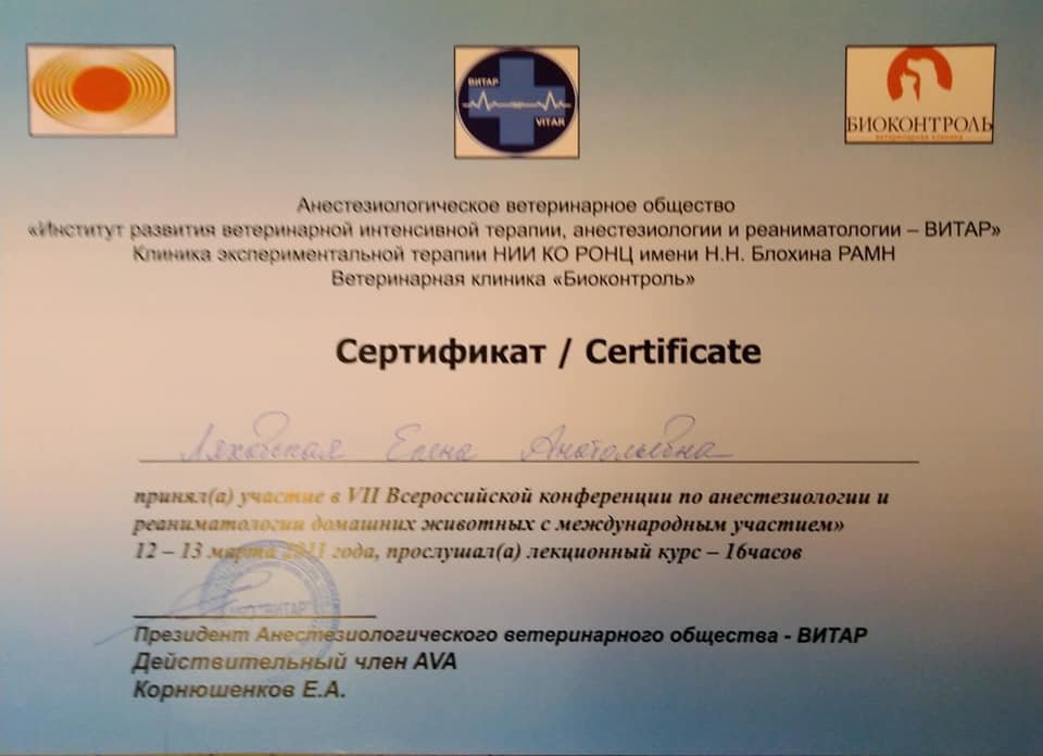 Документ или сертификат