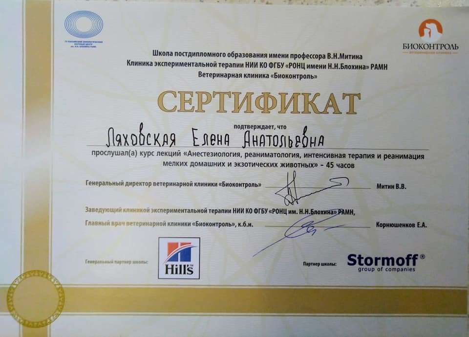 Документ или сертификат