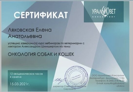 Документ или сертификат