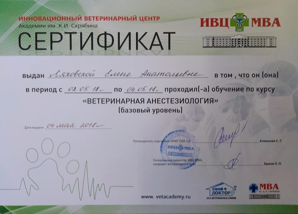 Документ или сертификат