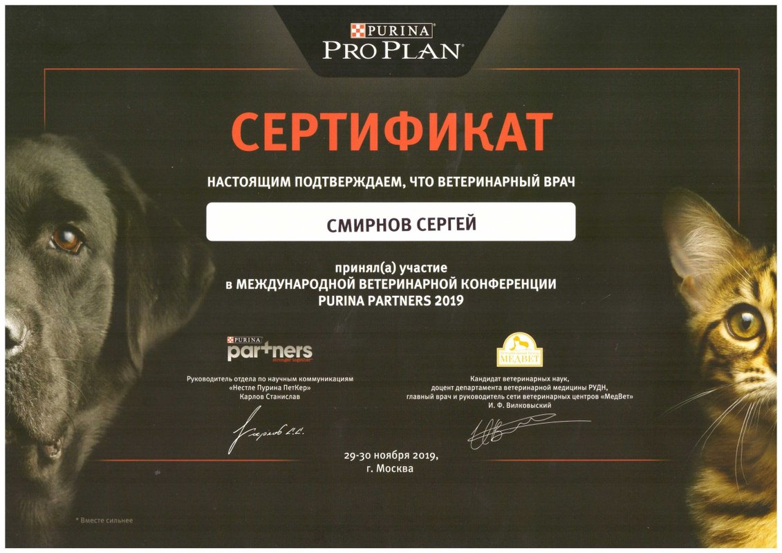 Документ или сертификат