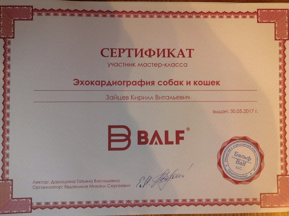 Документ или сертификат