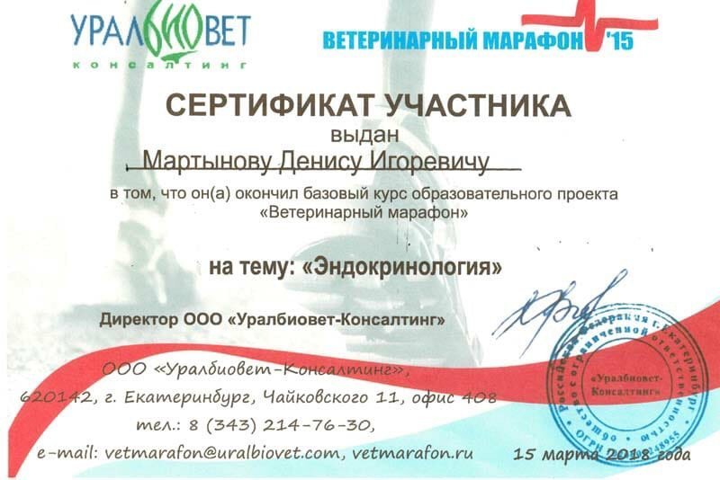 Документ или сертификат